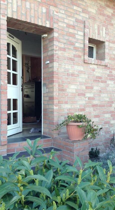 Ferienwohnung Mit Garten In Koeln Exteriör bild