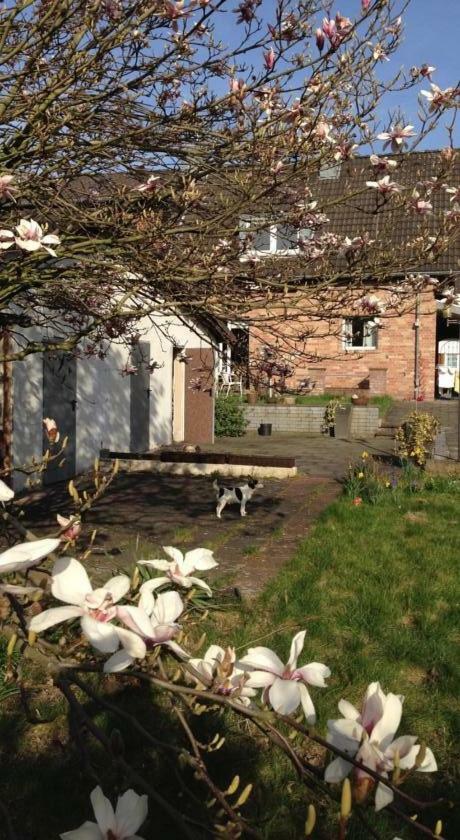 Ferienwohnung Mit Garten In Koeln Exteriör bild